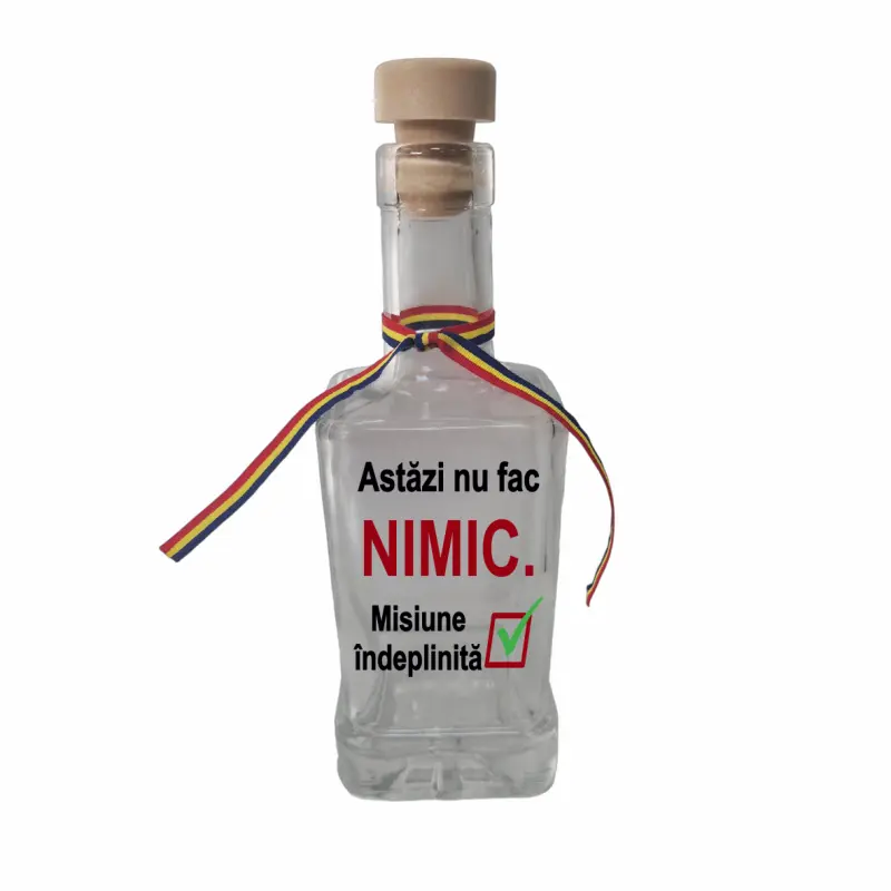 Astazi nu fac nimic, sticla cu mesaj patrata, 250 ml, model divgs318 29